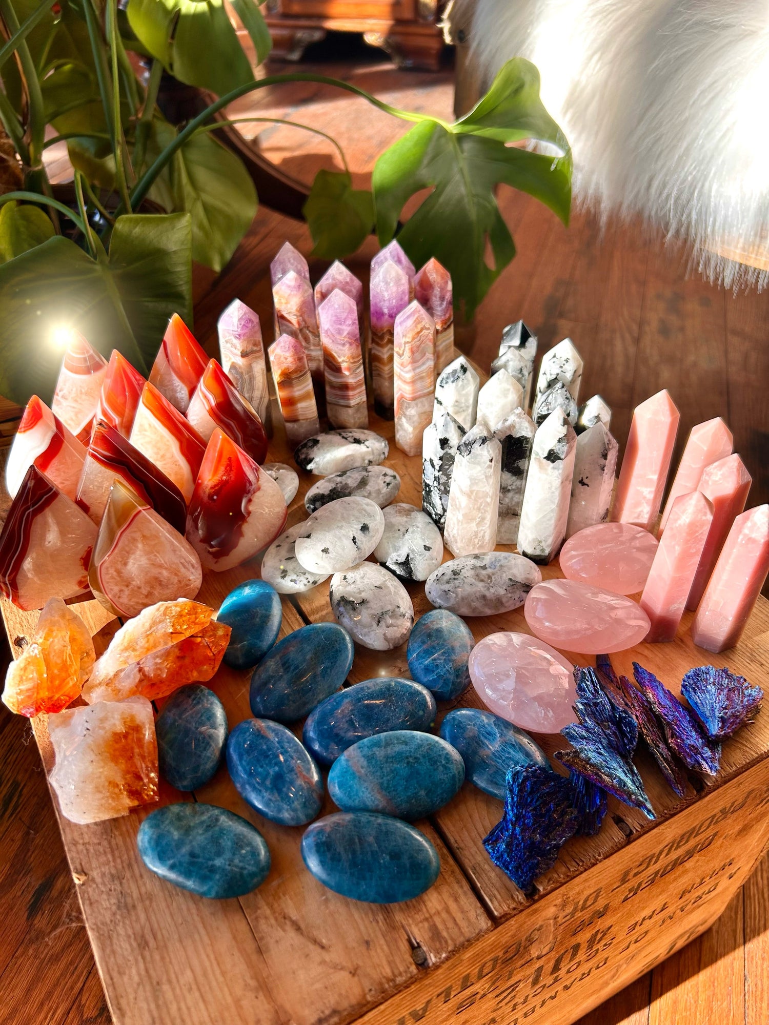 Crystals / Fossils