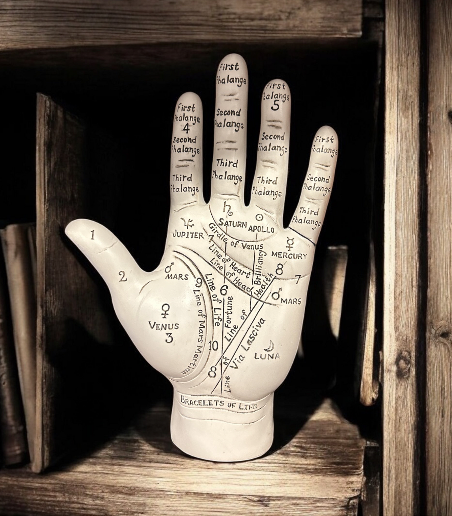 Big Palmistry Hand