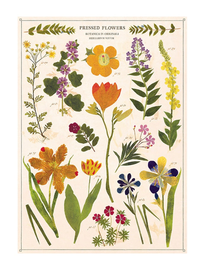 Cavallini Vintage-Inspired Poster Kit