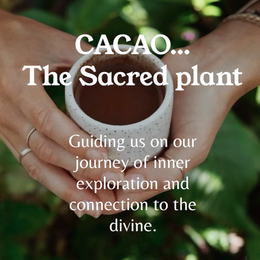Cacao Ceremony & Sound Bath Meditation Workshop