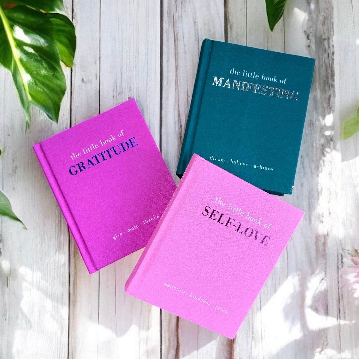 The Little Book of Manifesting
