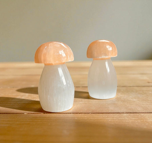 Selenite  Crystal Mushroom