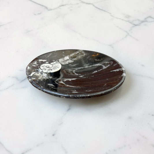 Ammonite Fossil Dish Tray