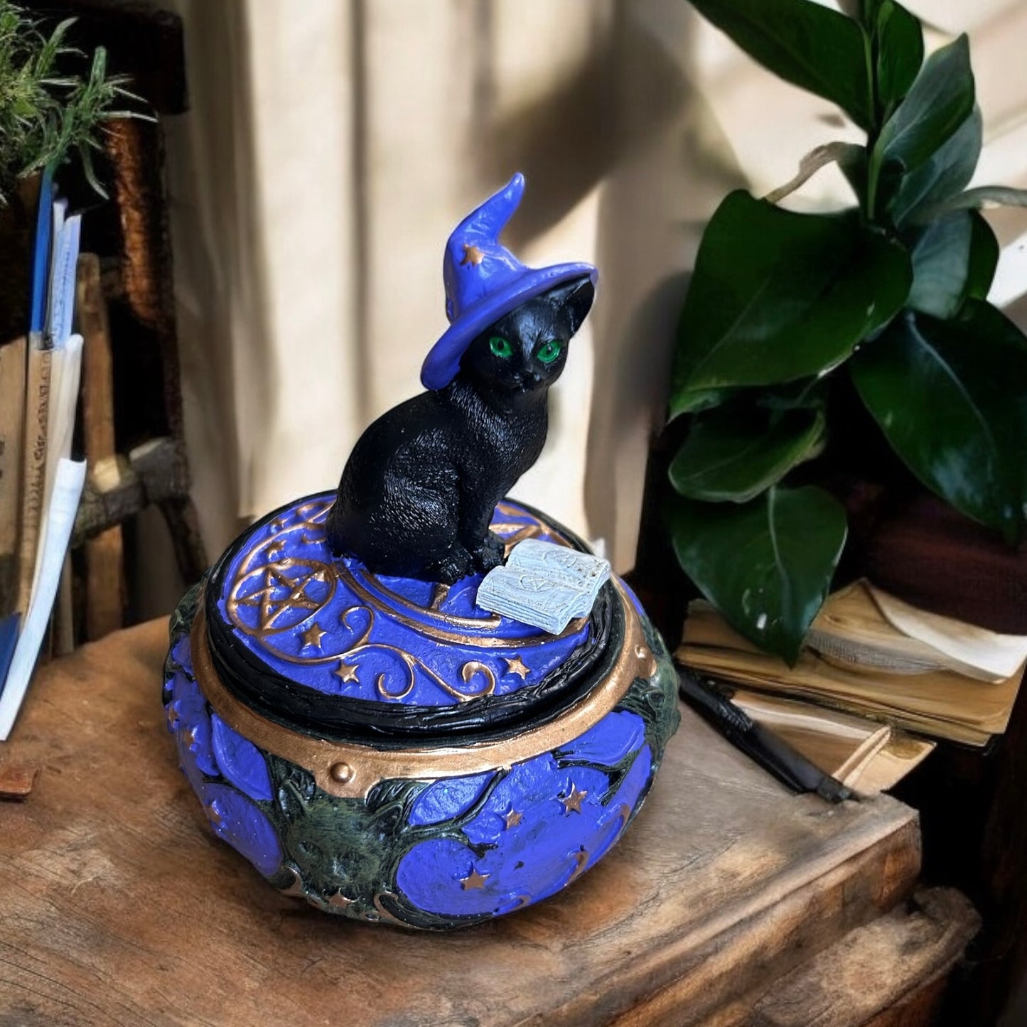 Magical Cat Box