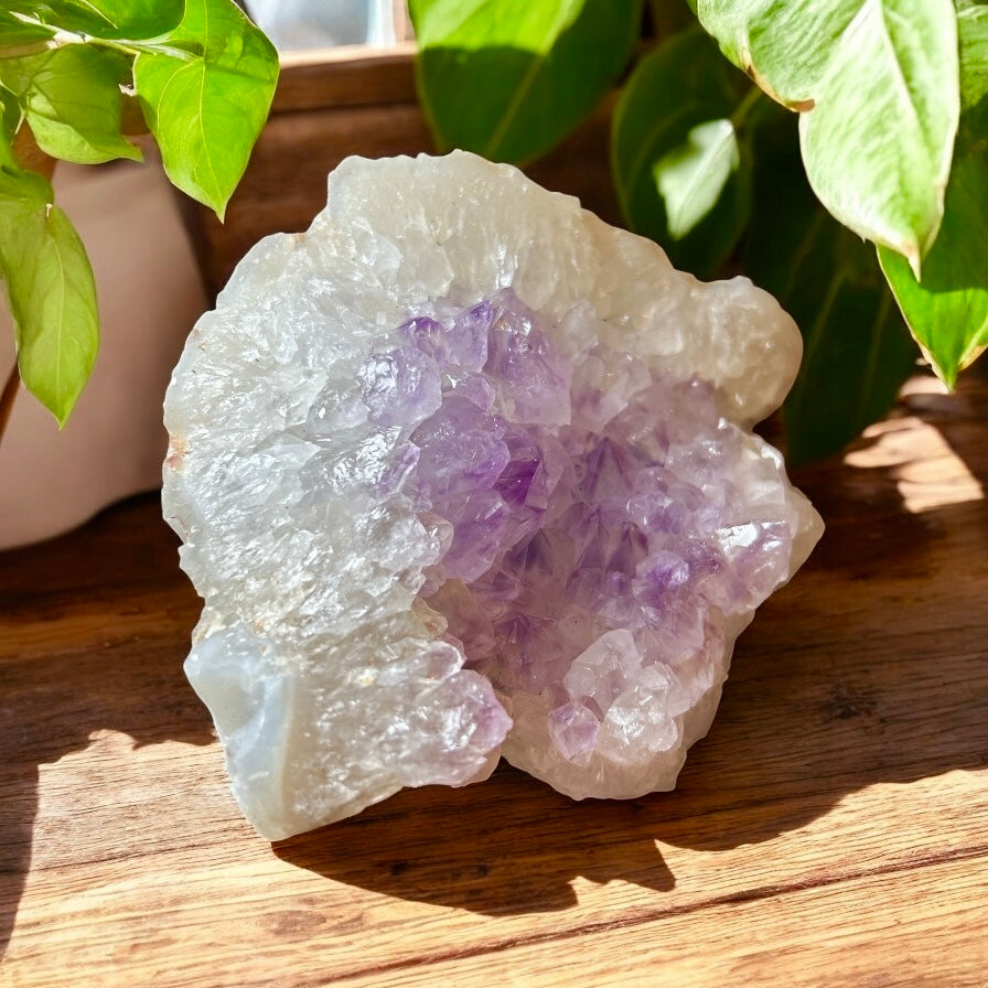 500 Large Amethyst Cluster