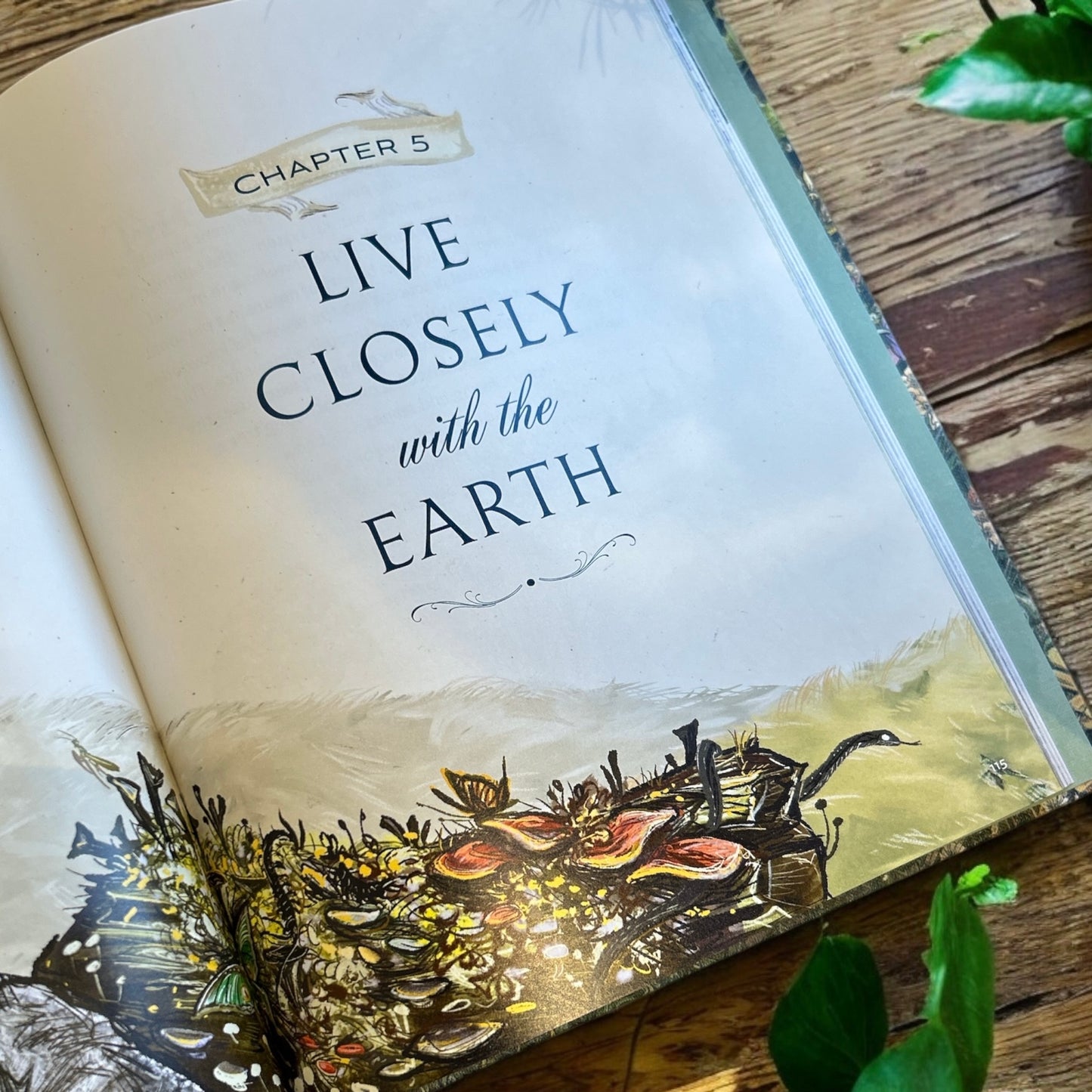 Green Witch Illustrated