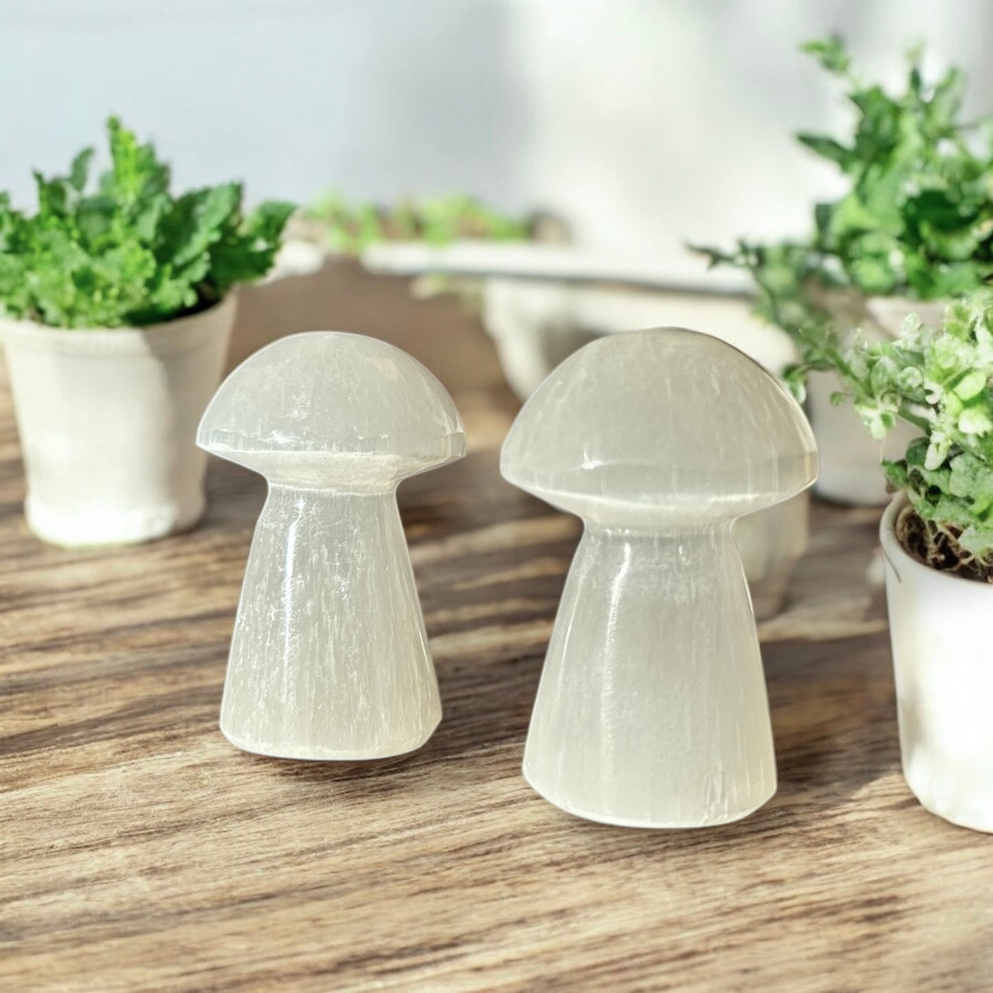 Selenite  Crystal Mushroom