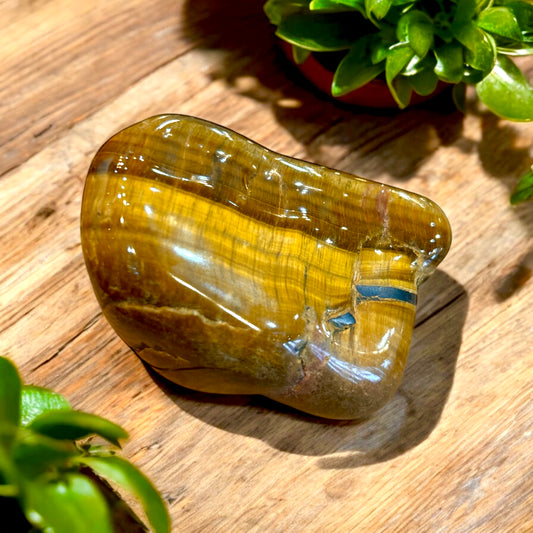 Tiger's Eye Polished Crystal