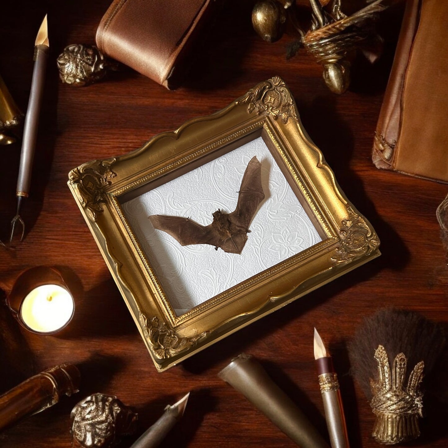 Pipistrells Fruit Bat with Vintage Frame