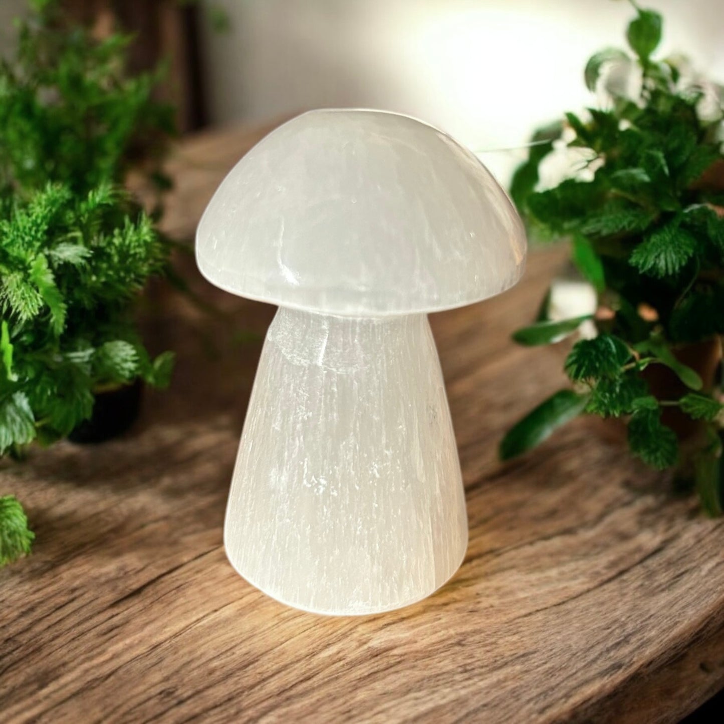 Selenite  Crystal Mushroom