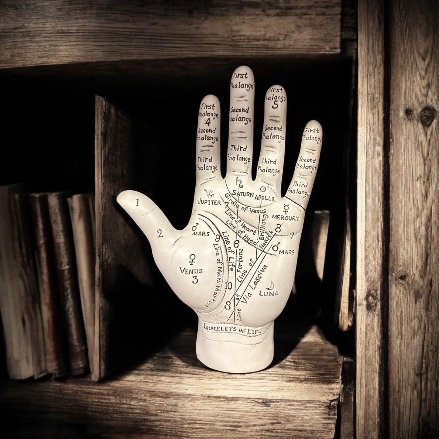 Big Palmistry Hand