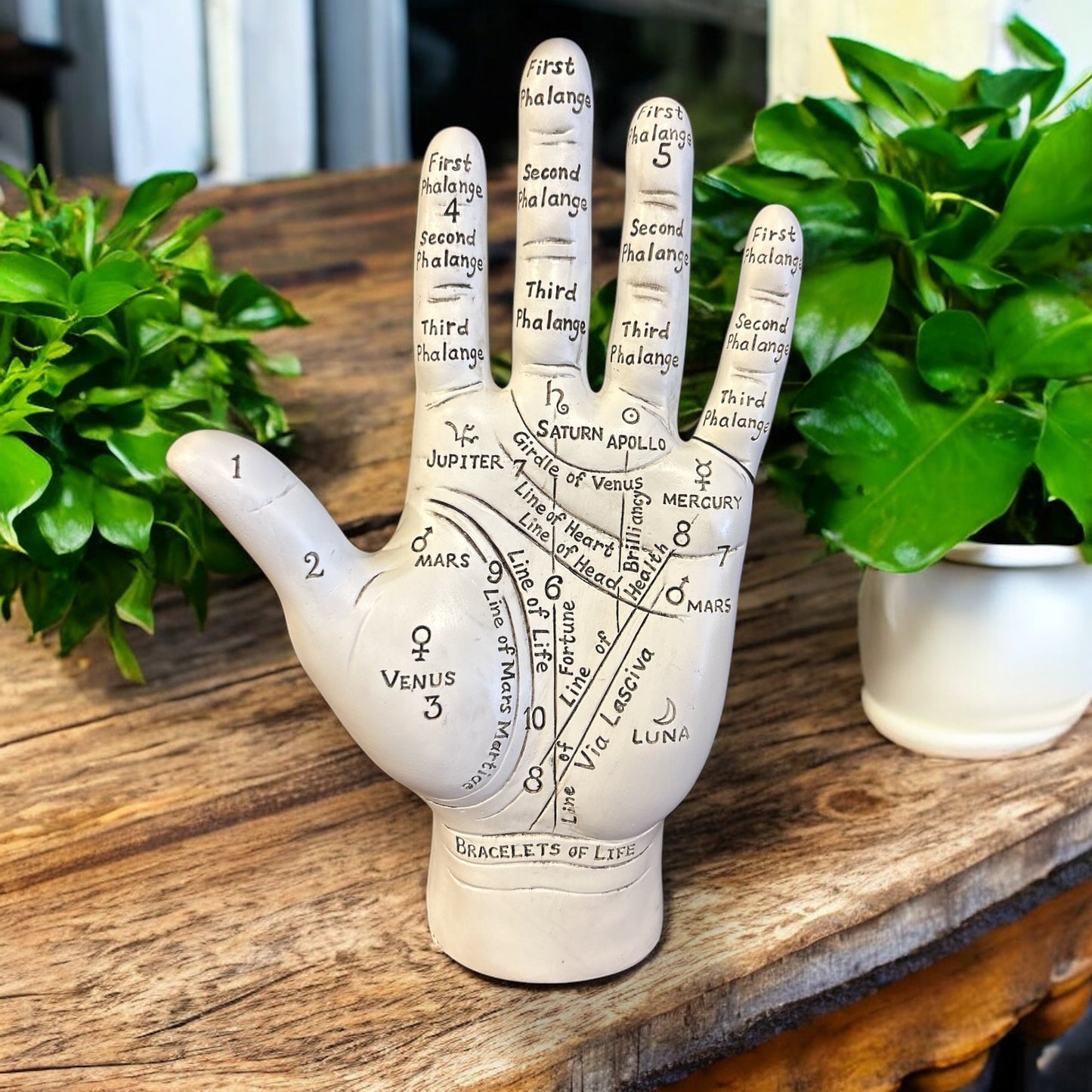 Big Palmistry Hand