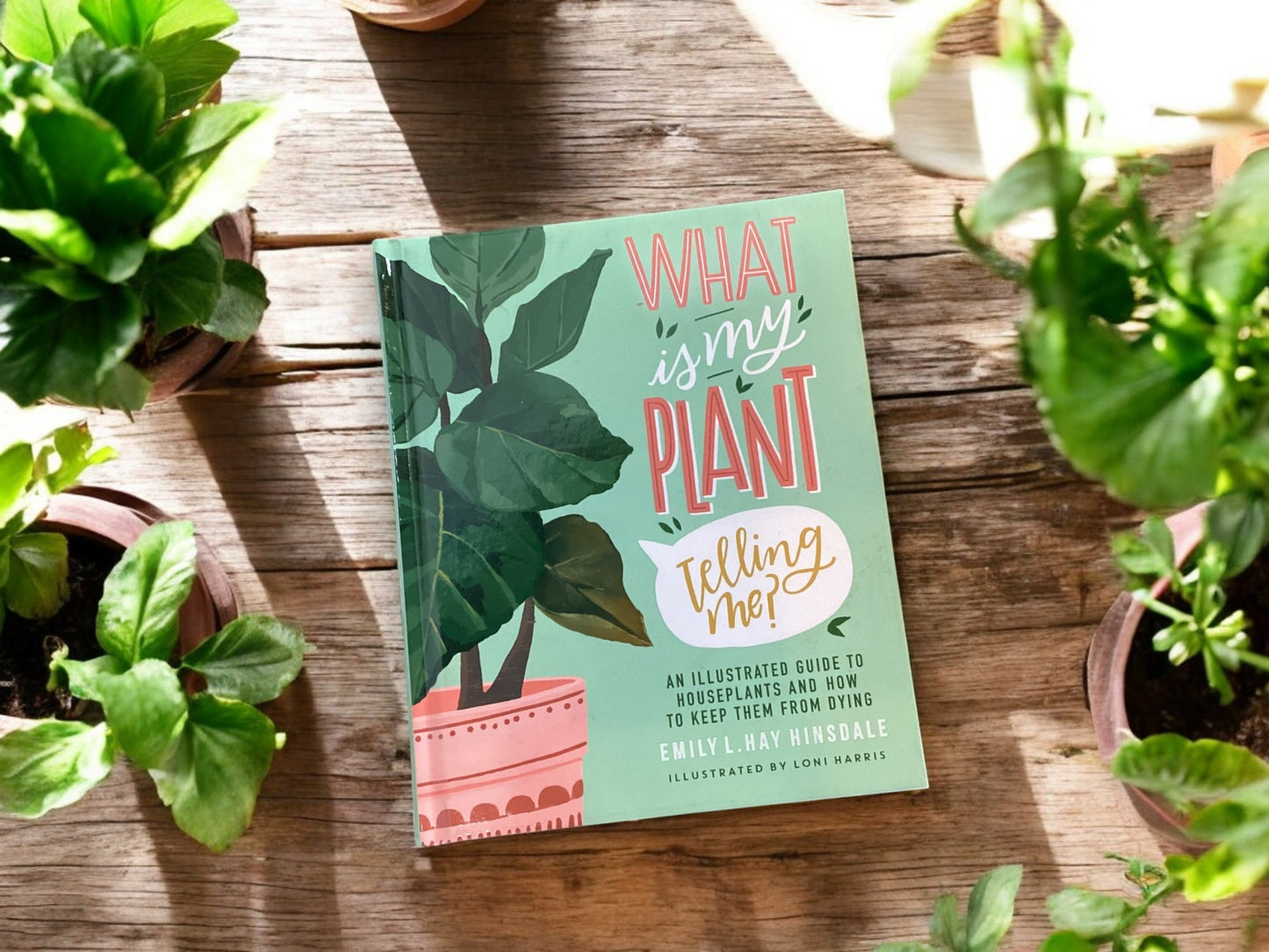 What Is My Plant Telling Me?