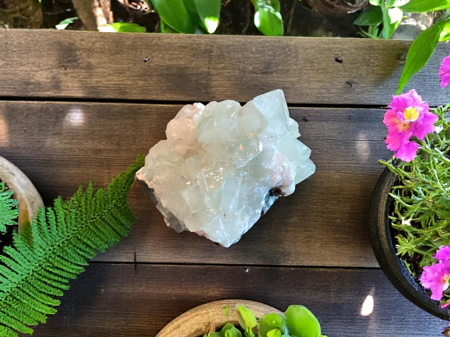 511 Apophyllite Crystal Cluster