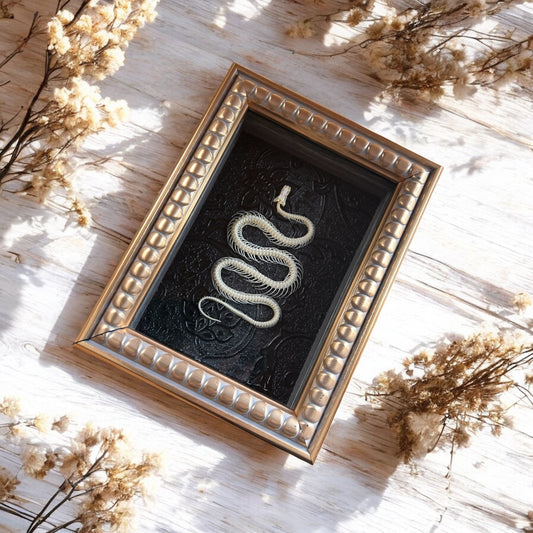 Snake Skeleton Frame
