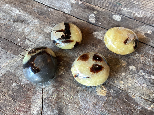 Septarian Crystal Palm Stone