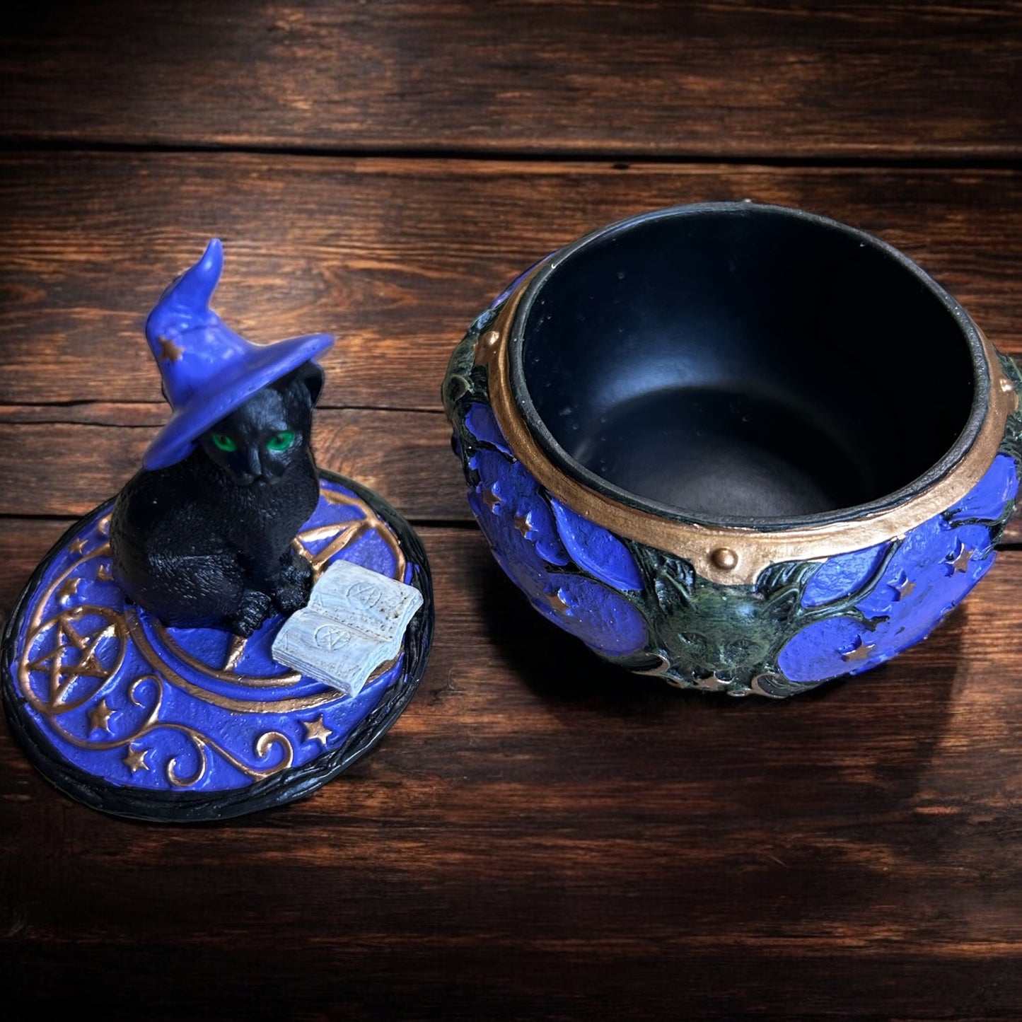 Magical Cat Box