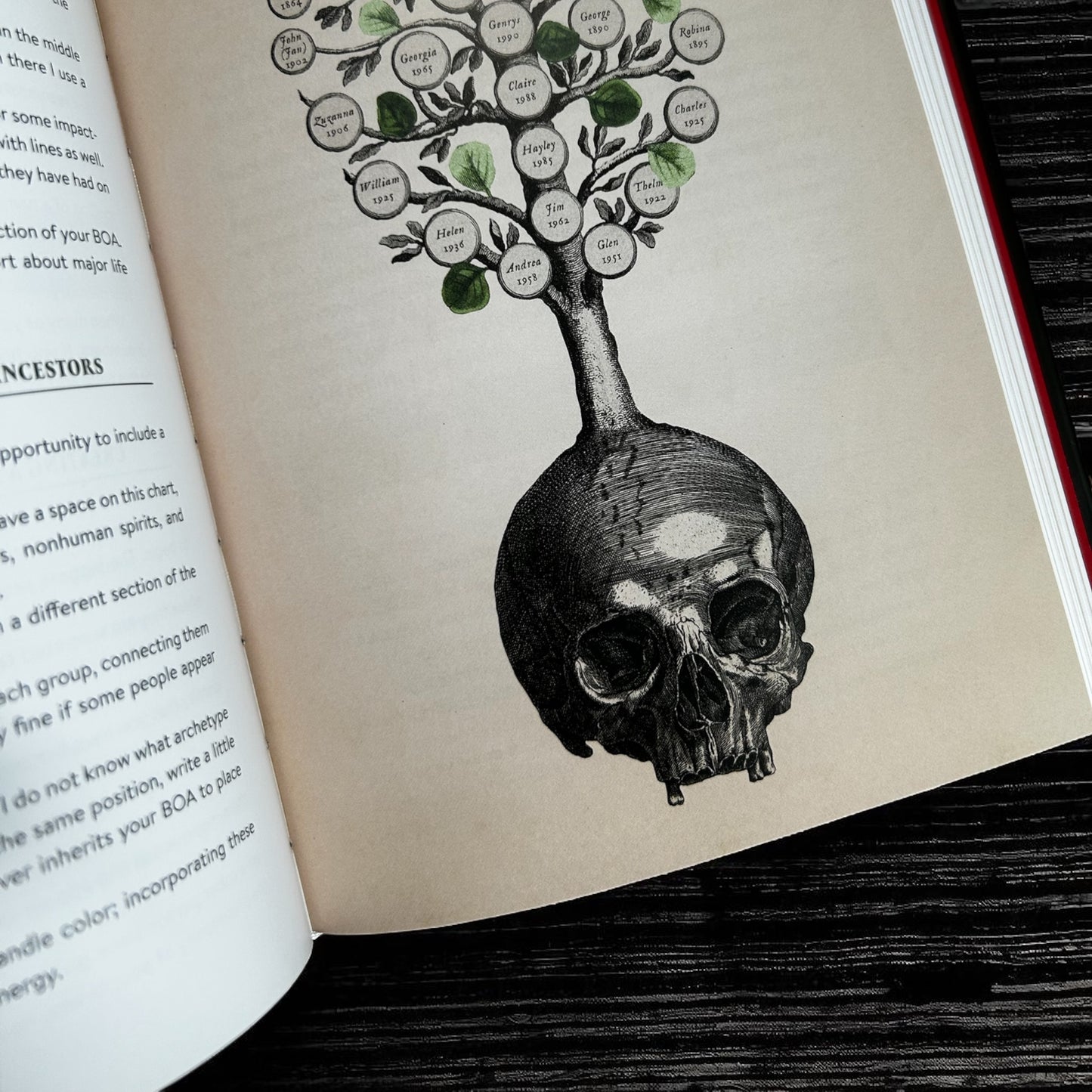 The Book of Ancestors