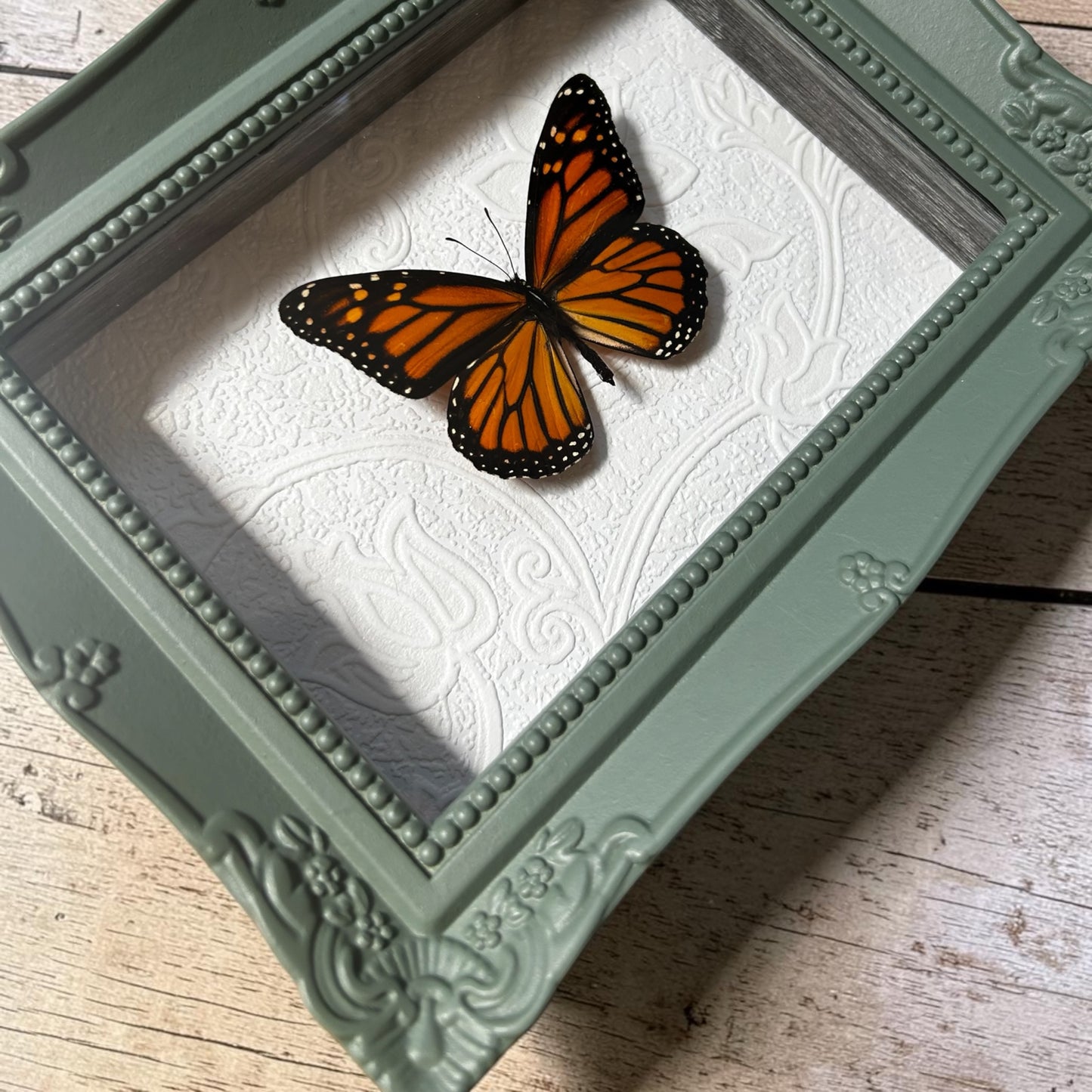 Monarch Butterfly Frame