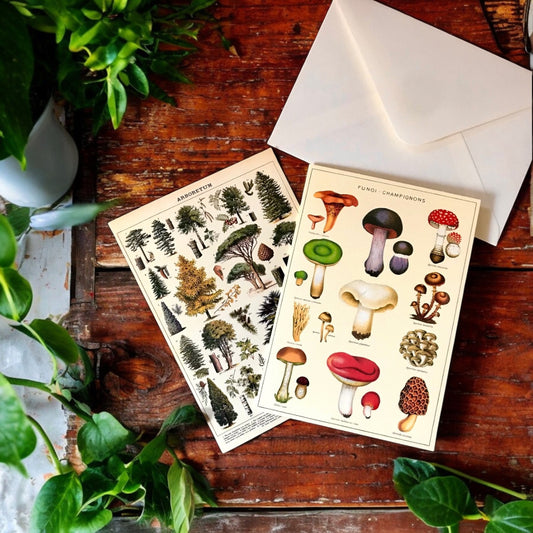 Cavallini Post Card