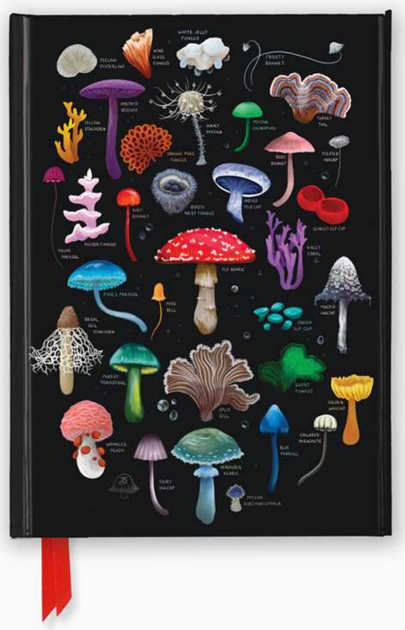 Mushrooms & Fungi (Foiled Journal) Notebook by Flame Tree