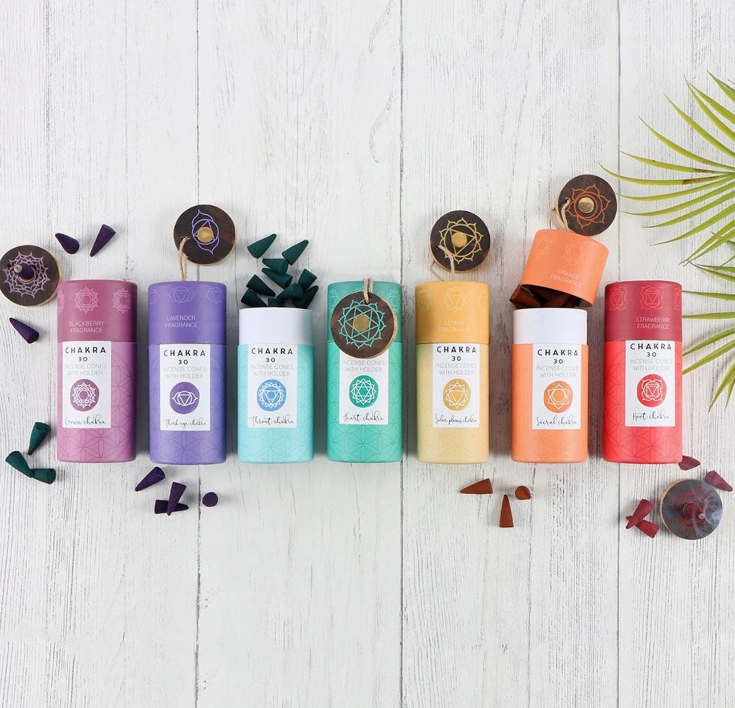 Chakra Cone Incense with Holder