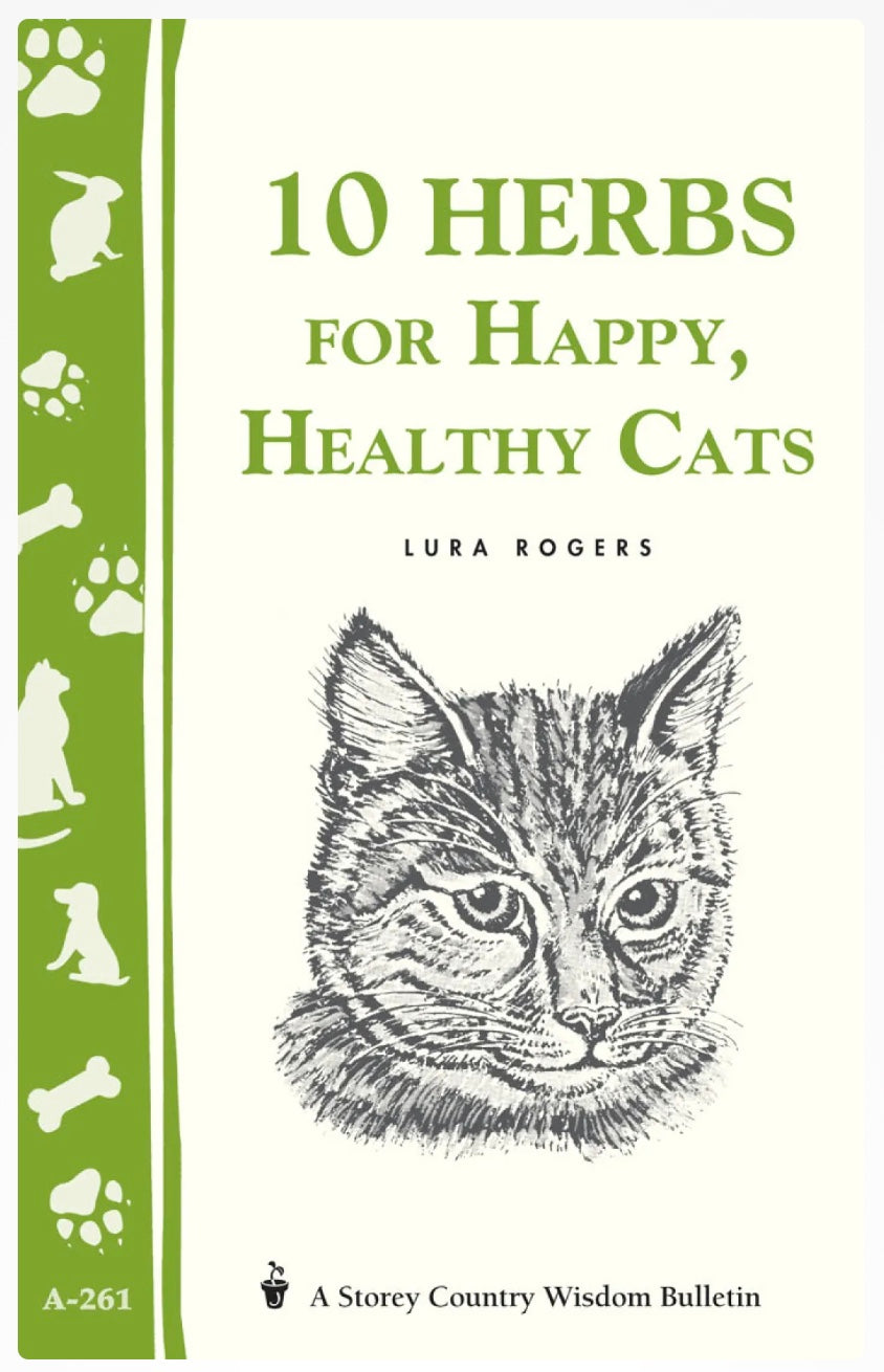 10 Herbs For Happy, Healthy Cats