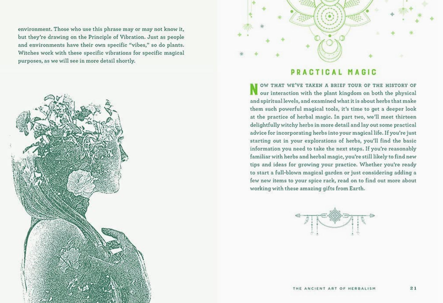 Wicca Herbal Magic: A Beginner's Guide