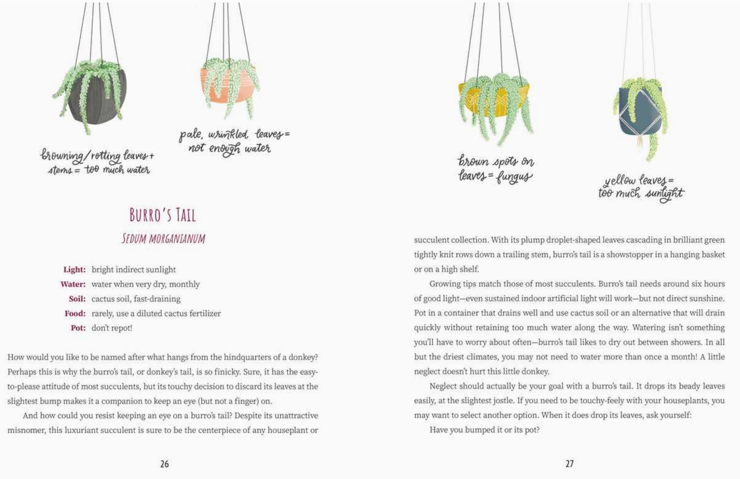 What Is My Plant Telling Me?