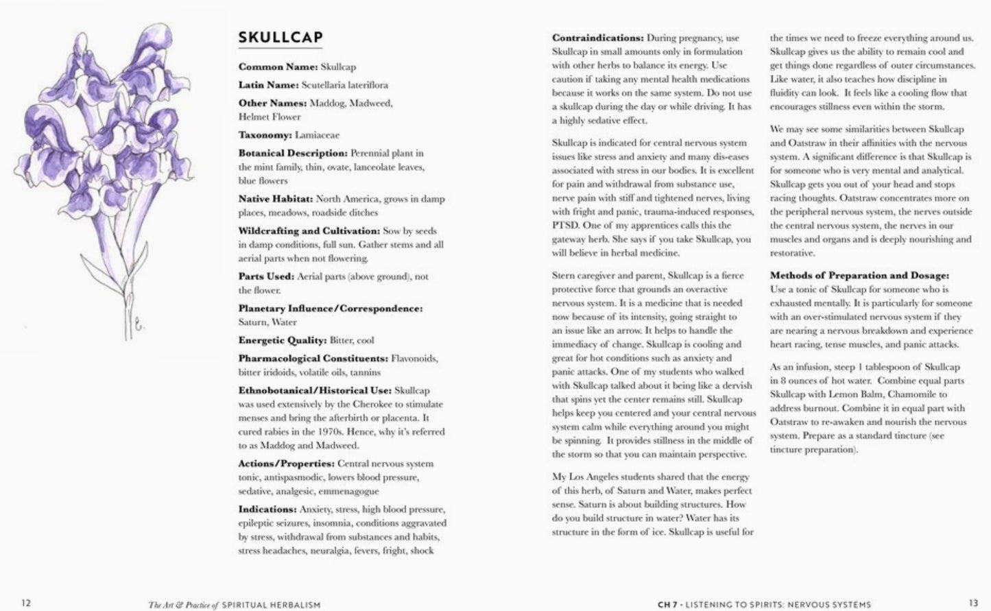 Art and Practice of Spiritual Herbalism