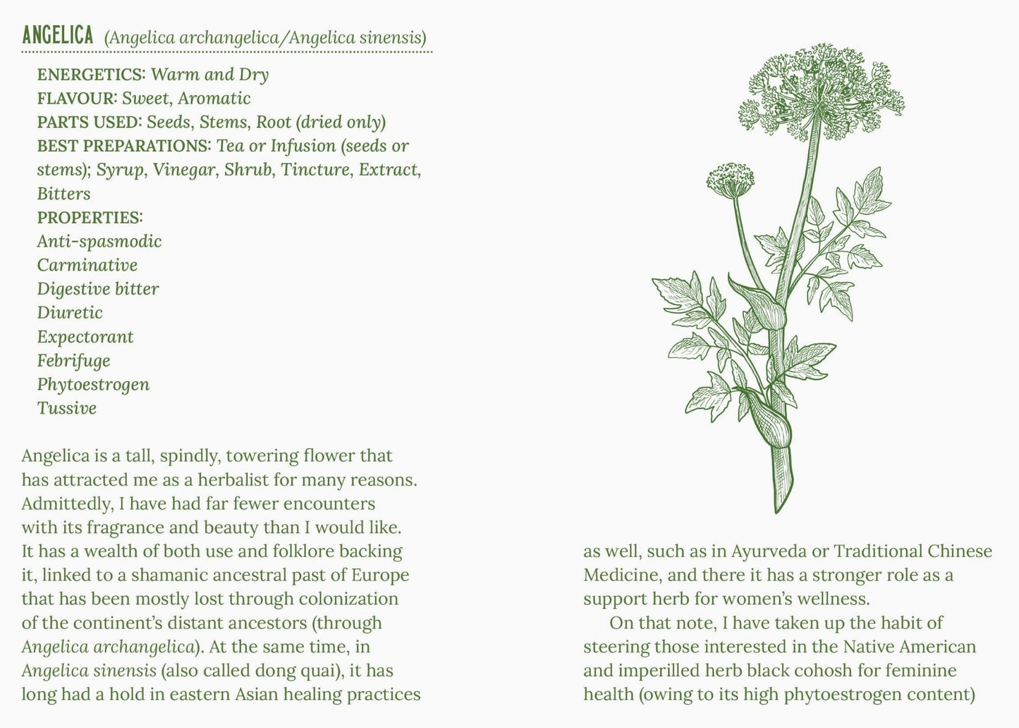 Herbalism