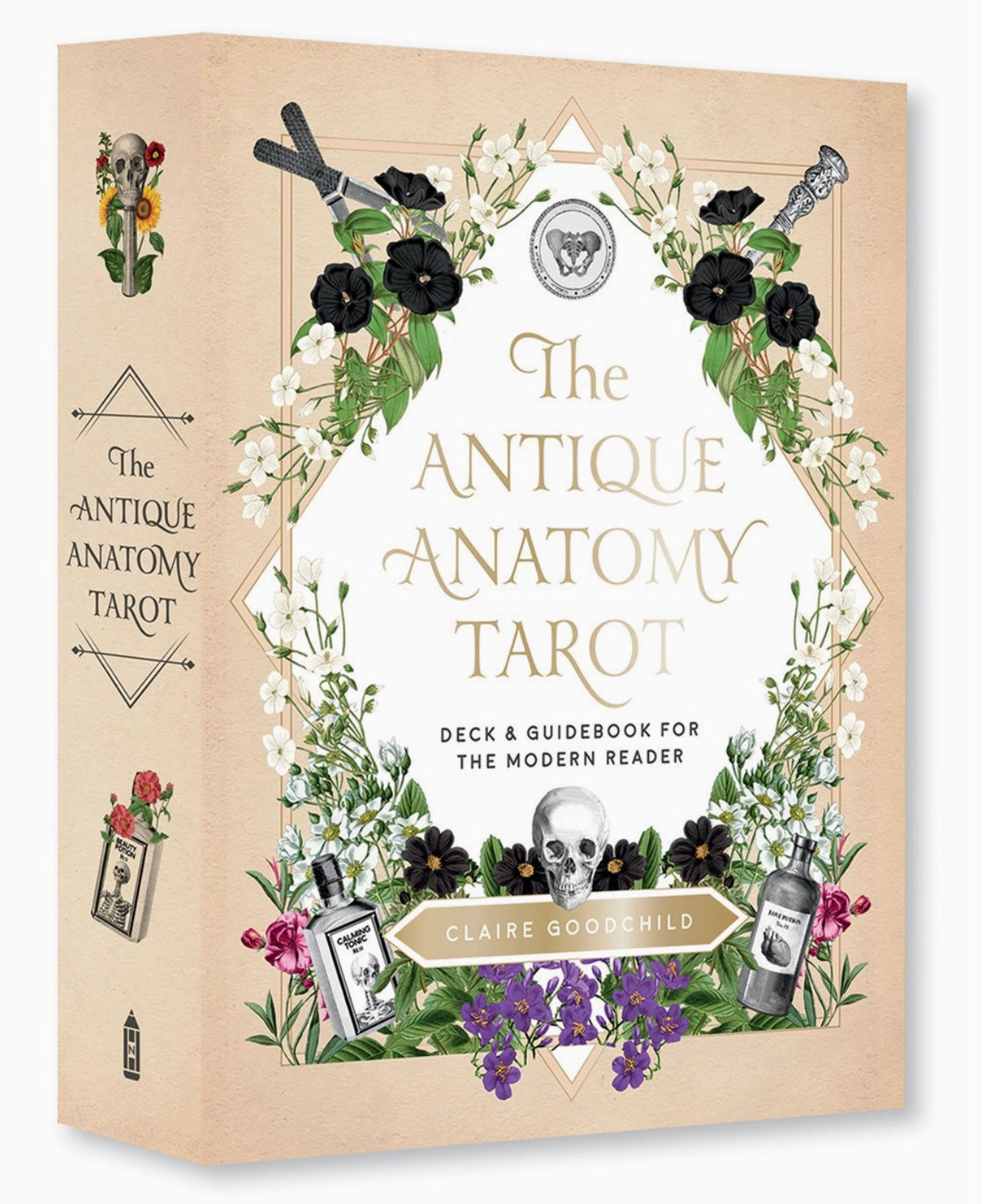 Antique Anatomy Tarot Kit