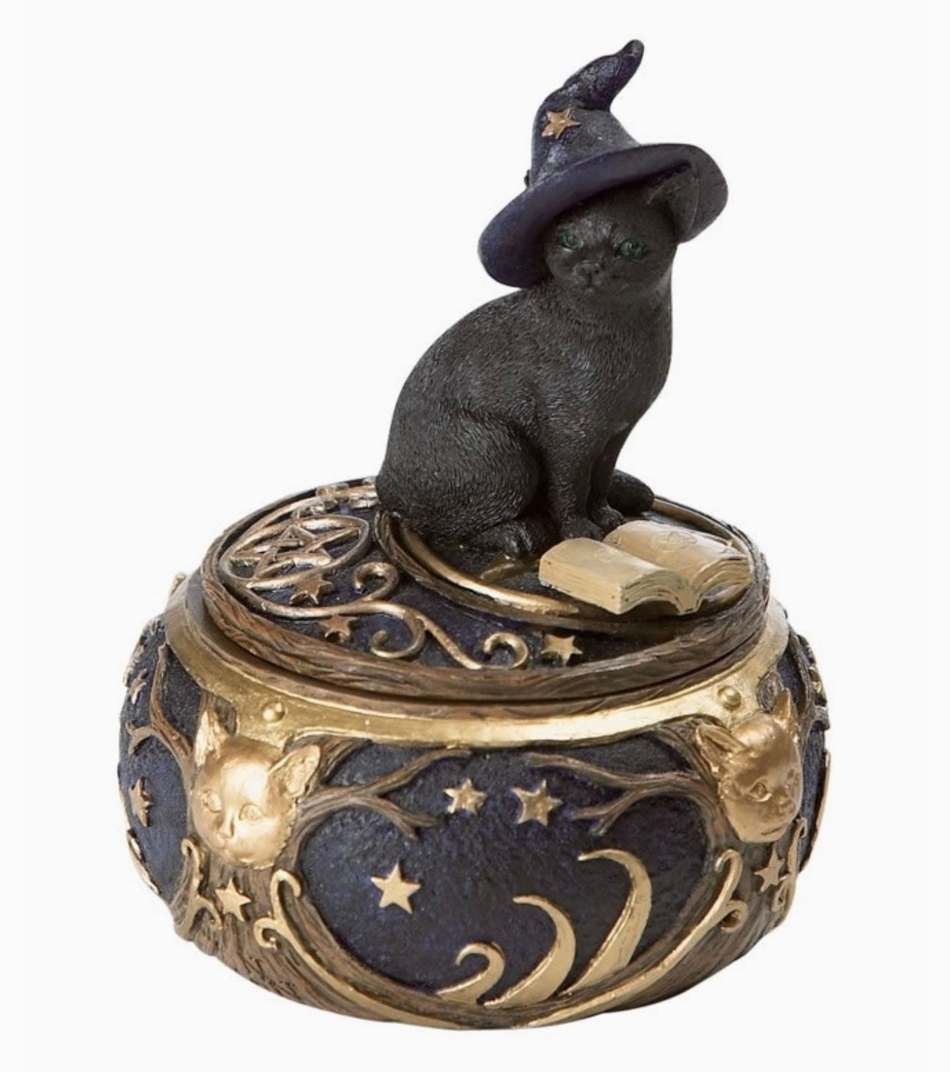 Magical Cat Box