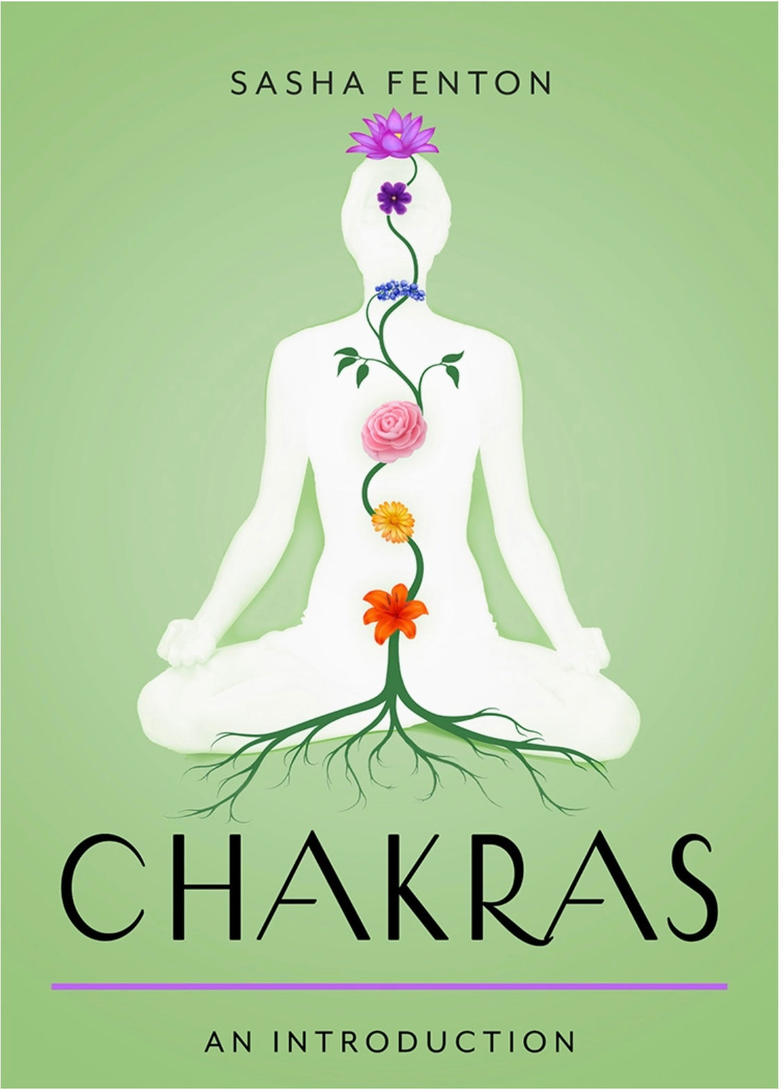 Chakras: Your Plain & Simple Guide To the 7 Energy Centers