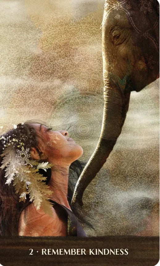 Wild Woman Rising Oracle