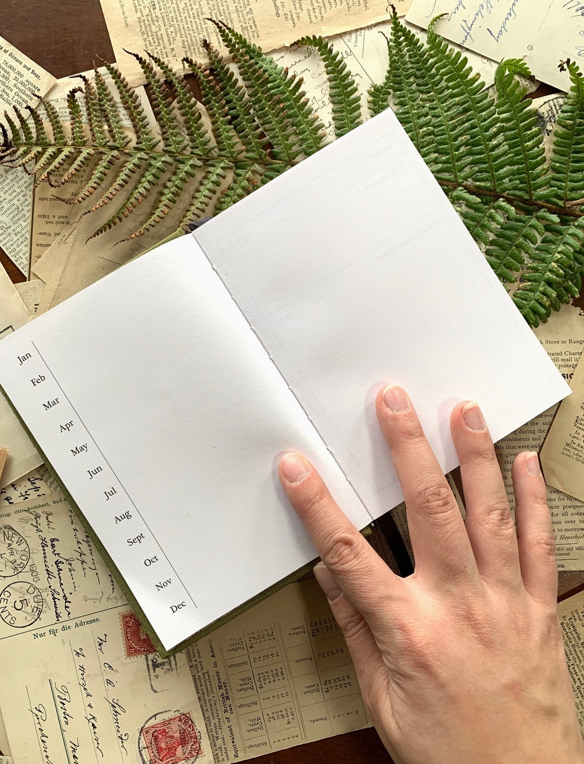 Green Foraging Journal