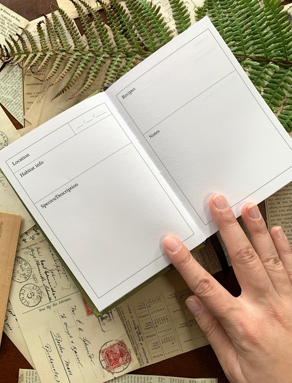 Green Foraging Journal
