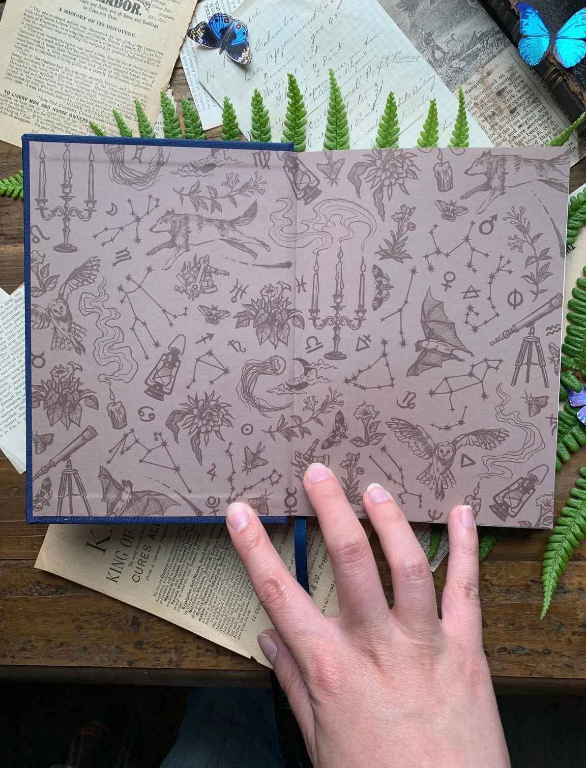 The Astronomer Journal