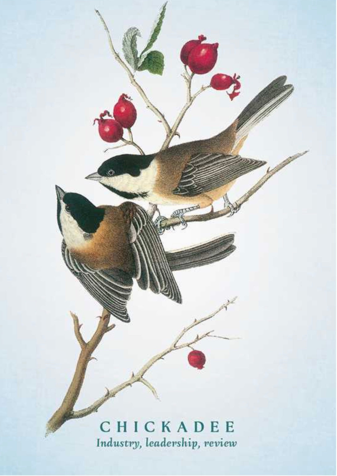 Spiritual Meaning of Birds Oracle Deck