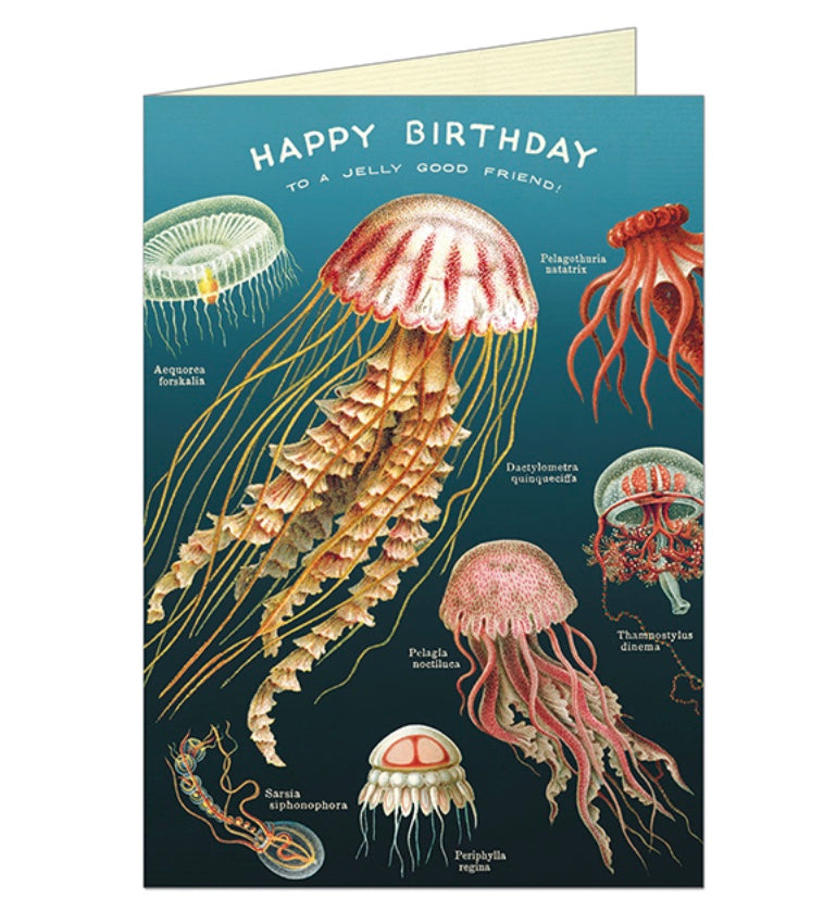 Cavallini Post Card