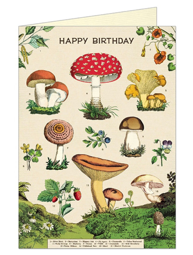Cavallini Post Card