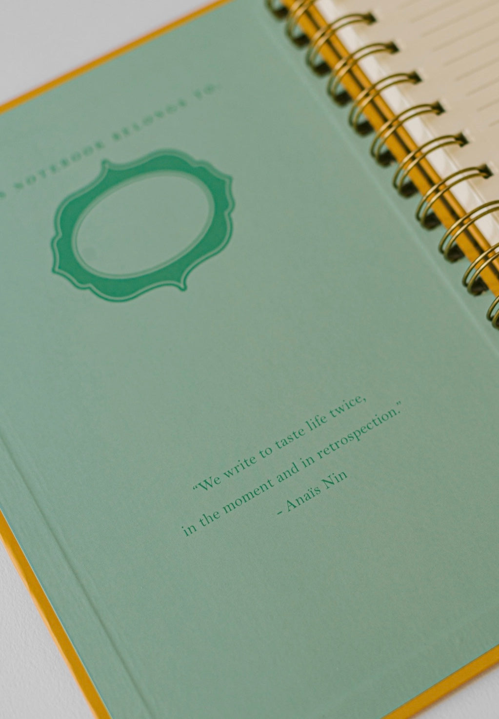 Cat Library Spiral Notebook