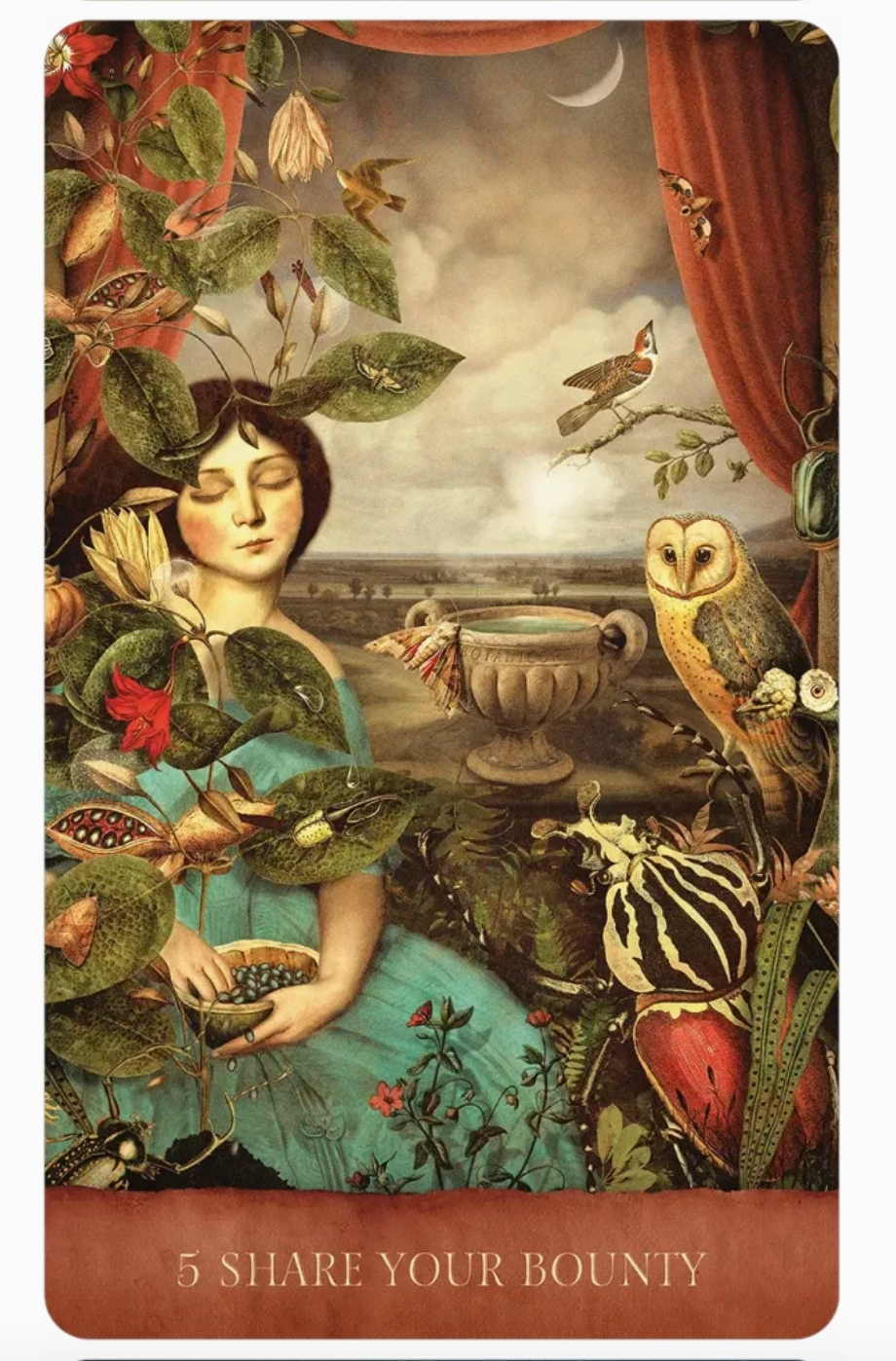 Dream Song Oracle Deck