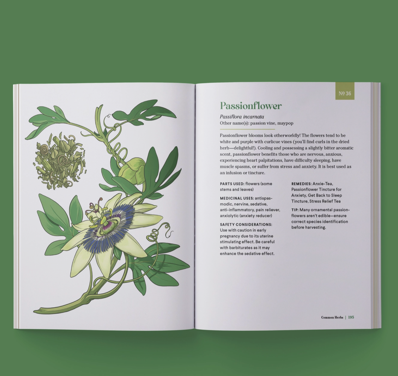 The Little Encyclopedia of Herbal Medicine