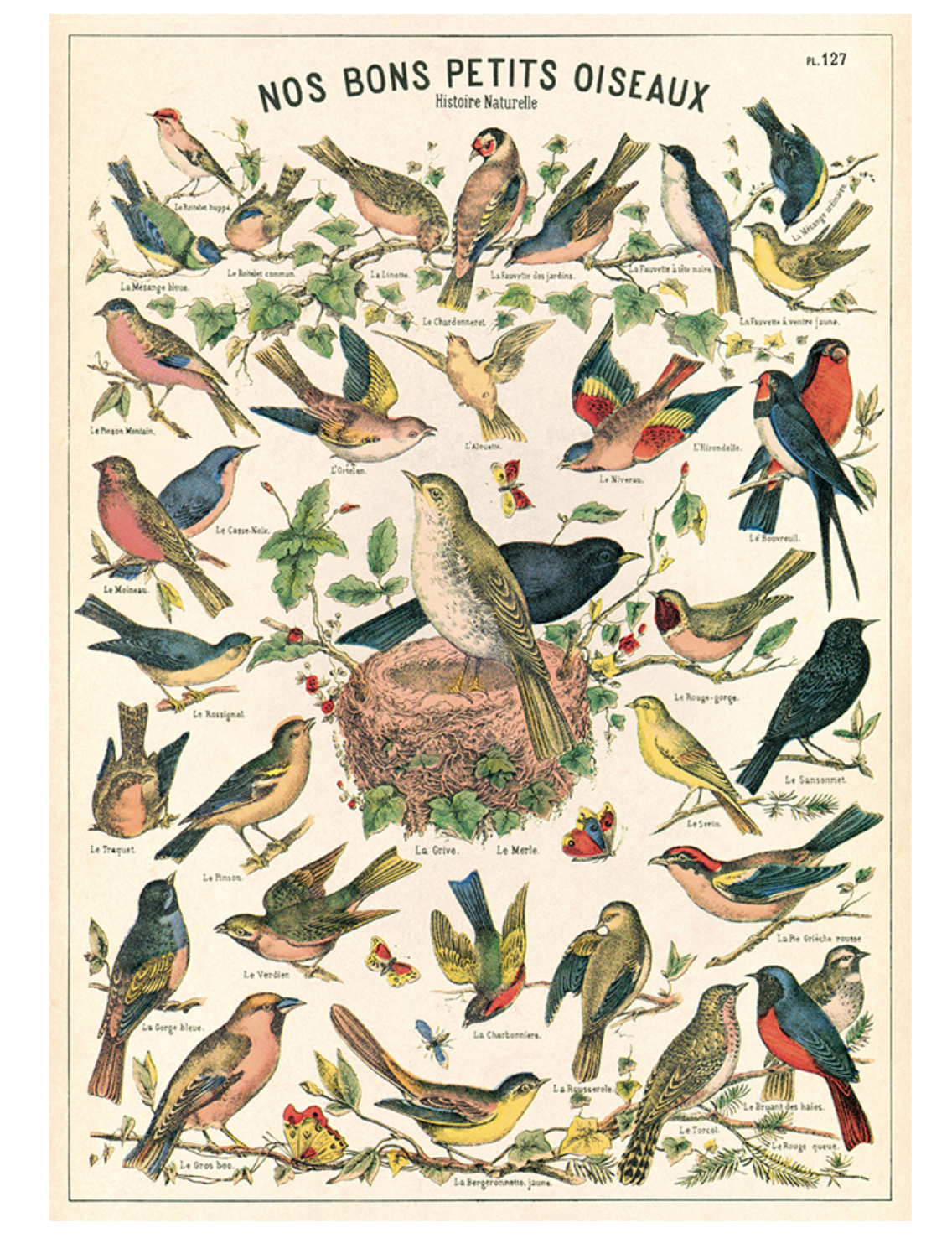 Cavallini Vintage-Inspired Poster Kit