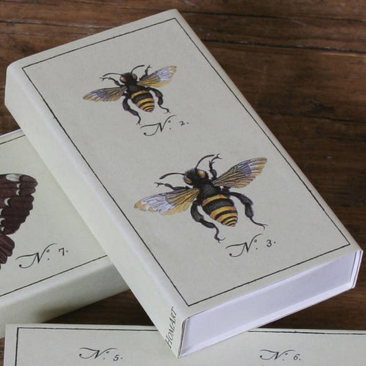 Matches - Insects, Bee