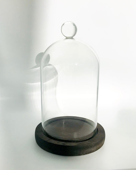 Glass Terrarium Cloche Bell Dome with Wooden Base