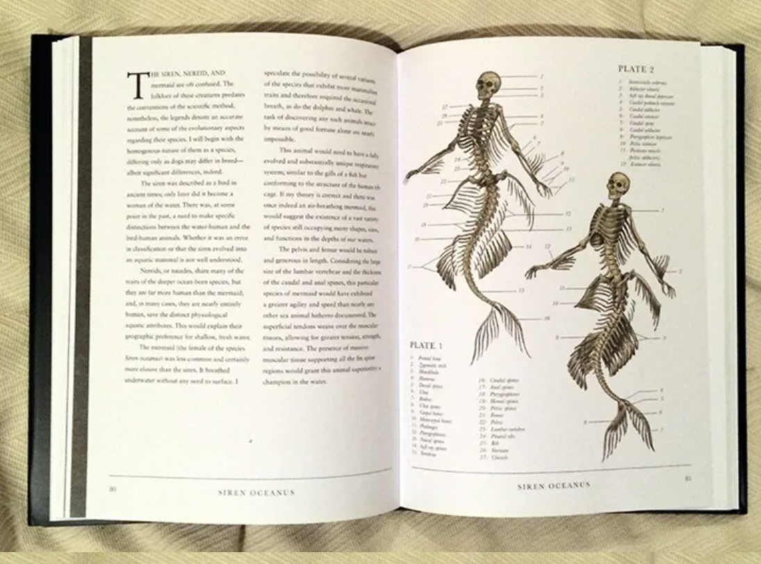 The Resurrectionist The Lost Work of Dr. Spencer Black