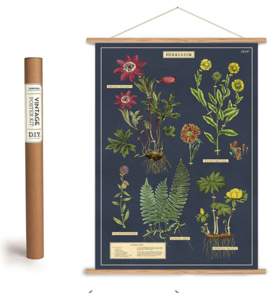 Cavallini Vintage-Inspired Poster Kit