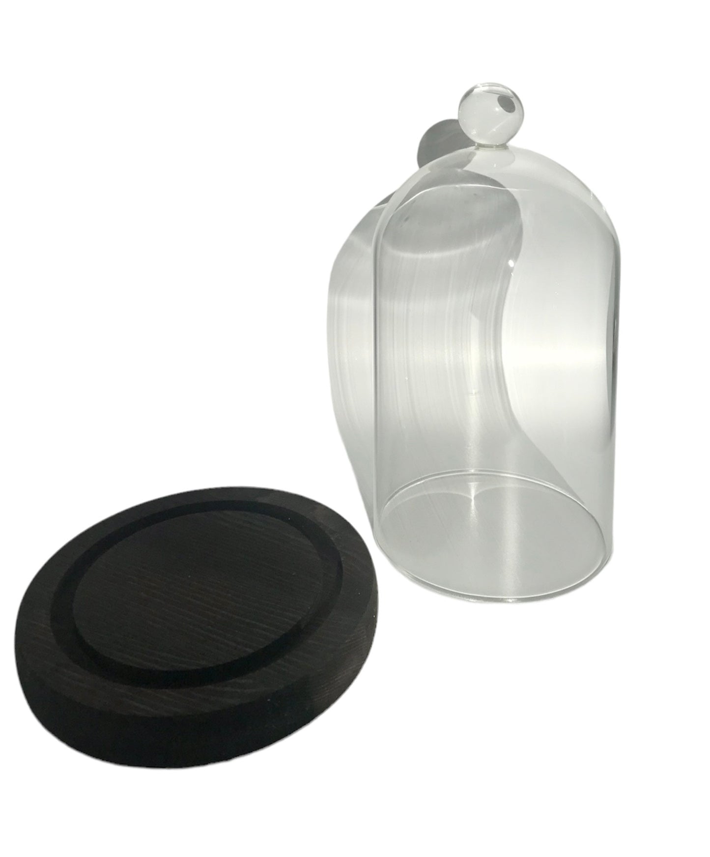 Glass Terrarium Cloche Bell Dome with Wooden Base